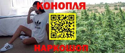 mdpv Аргун