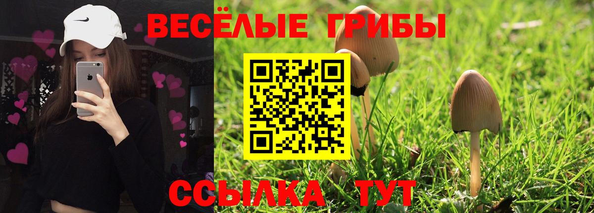 Галлюциногенные грибы мухоморы Богородск